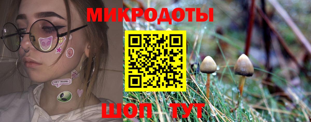 Псилоцибиновые грибы прущие грибы  Вход с VPN  Алексеевка 