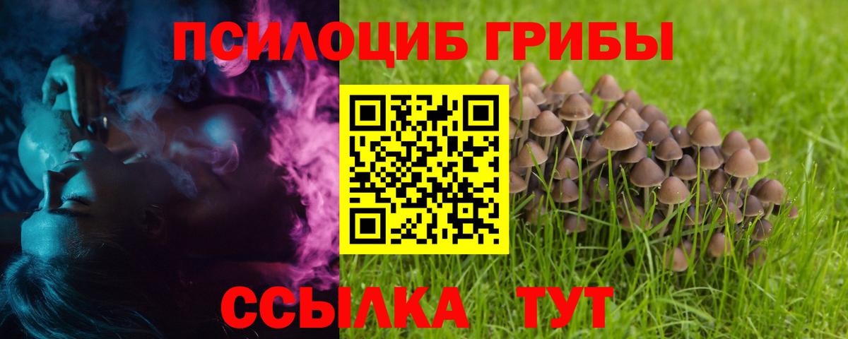 Псилоцибиновые грибы мухоморы Алексеевка